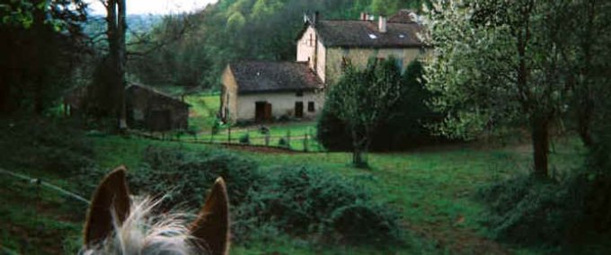 vue du dos de cathy