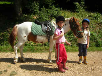 parade des poneys
