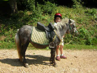 parade des poneys