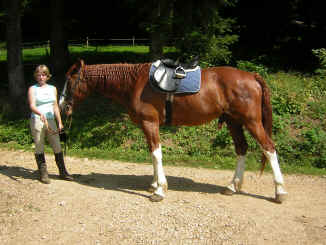 parade des poneys