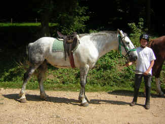 parade des poneys