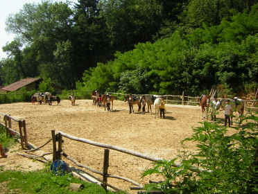 parade des poneys