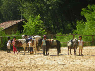 parade des poneys
