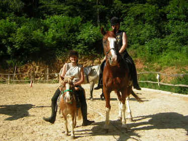 parade des poneys