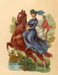 parade des poneys